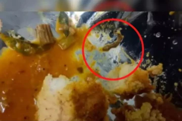 இட்லி பார்சலில் இறந்து கிடந்த பல்லி - வாடிக்கையாளர் அதிர்ச்சி