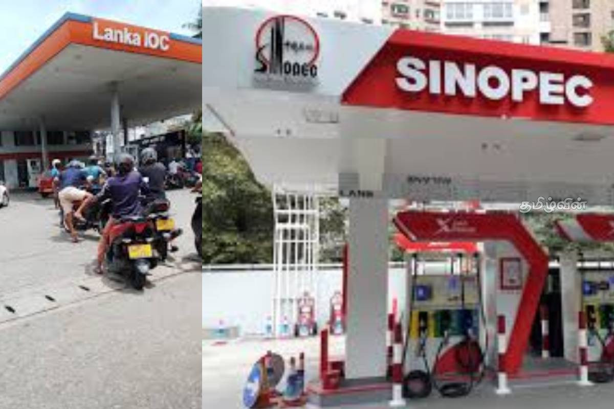 வெளிநாட்டு நிறுவனங்களின் திட்டமிடப்பட்ட சதியே எரிபொருள் தட்டுப்பாடு! சங்கத்தின் தலைவர் பகிரங்கம்.. | Fuel Queues Sri Lanka Fuel Pass