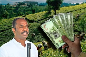 1,700 ரூபா சம்பள விடயத்தில் விட்டுக்கொடுப்புக்கு இடமில்லை - நாடாளுமன்ற உறுப்பினர் சவால்