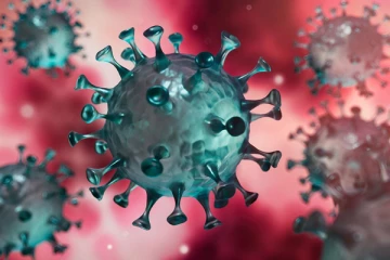 Covid වෛරසය ගැන ඇමෙරිකාවට සැකයක්.