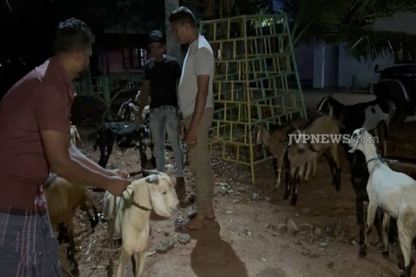 முல்லைத்தீவில் காவலாளிகளை தாக்கிவிட்டு 35 ஆடுகளை திருடிச் சென்றவர் சிக்கினர்! | Man Stole 35 Goats Attacking Guards In Mullaitivu