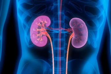 உங்களுக்கு சிறுநீரங்களில் பிரச்சினையா? இந்த உணவுகளை எடுத்துக்கோங்க