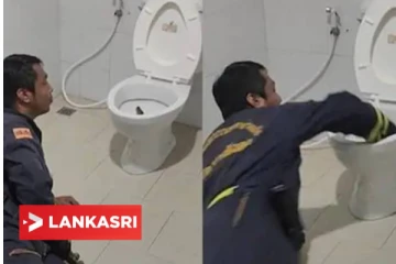 கழிப்பறையில் அமர்ந்திருந்த நபர்! அடிப்பகுதியில் ஏதோ ஒன்று மேல் நோக்கி மோதியதாக ஏற்பட்ட உணர்வு... அடுத்து காத்திருந்த பேரதிர்ச்சி