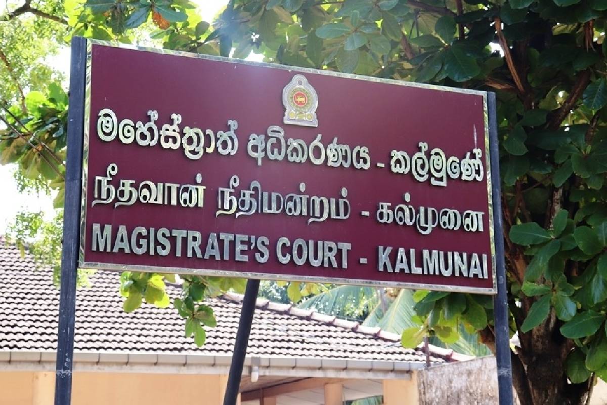 சுப்பிரமணியன் நாயை உதைத்து துன்புறுத்திய சந்தேக நபருக்கு பிணை..! | Bail Granted To Suspect Who Kicked And Abused Dog
