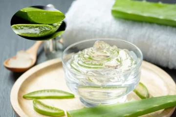 வீட்டிலேயே இரசாயனமற்ற கற்றாழை ஜெல்லை எப்படி தயாரித்து நீண்ட நாள் சேமிப்பது?