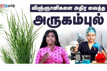 Cancer -ஐ குணப்படுத்தும் அருகம்புல் - இதில் இவ்வளவு நன்மைகளா!
