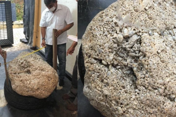 මෙරටින් හමු වූ ලොව විශාලම මැණික් පොකුරට සිදු වූ දේ මෙන්න.