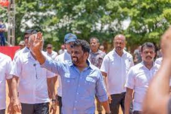 யாழ்ப்பாணம் வலிவடக்கில் இராணுவத்தால் அழிக்கப்படும் பனை மரங்கள் | Palm Trees Being Destroyed By Military In Jaffna