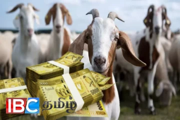 ஒன்பது கோடி ரூபாய் செலவில் வளர்க்கப்பட்ட 23 ஆடுகள்