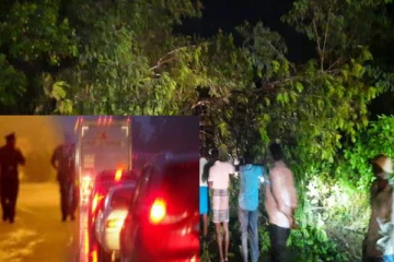 திடீரென பிரதான வீதியில் முறிந்து விழுந்த மரம்... போக்குவரத்து கடும் பாதிப்பு!