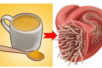 மூன்றே நாட்களில் உடலில் உள்ள புழுக்களை அழித்து விரட்டும் அதிசக்தி வாய்ந்த பொருட்கள்