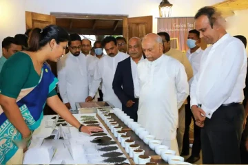 தேயிலை உற்பத்தி தொடர்பில் பிரதமர் வெளியிட்ட கருத்து!