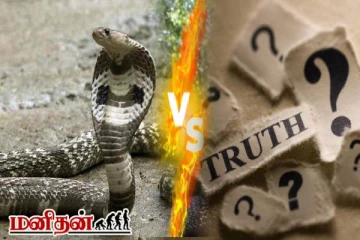 பாம்புகளால் உண்மையிலேயே படம் பிடிக்க முடியுமா? பழி தீர்குமா!