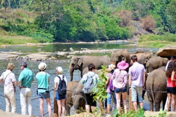 கோவிட் தொற்றுக்கு மத்தியிலும் இலங்கை வந்துள்ள அதிகளவு சுற்றுலா பயணிகள்