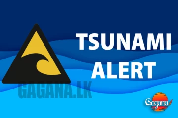 සුනාමි අනතුරු ඇඟවීමක්