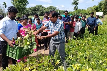 முல்லைத்தீவு தேராவில்லில் சிறப்புற இடம்பெற்ற வயல் விழா