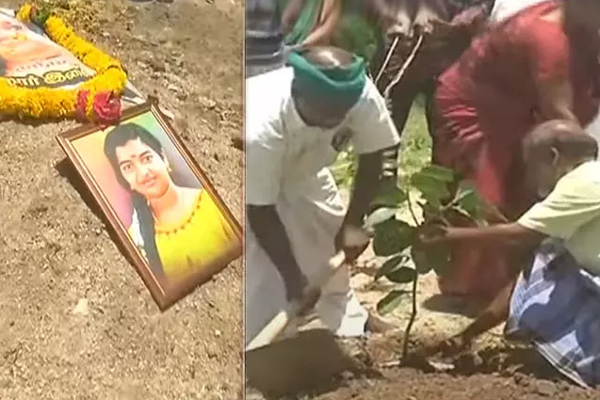 ஸ்ரீமதியின் பிறந்த நாள் இன்று - நினைவிடத்தில் மரக்கன்று நட்ட குடும்பம்..! - தமிழ்நாடு