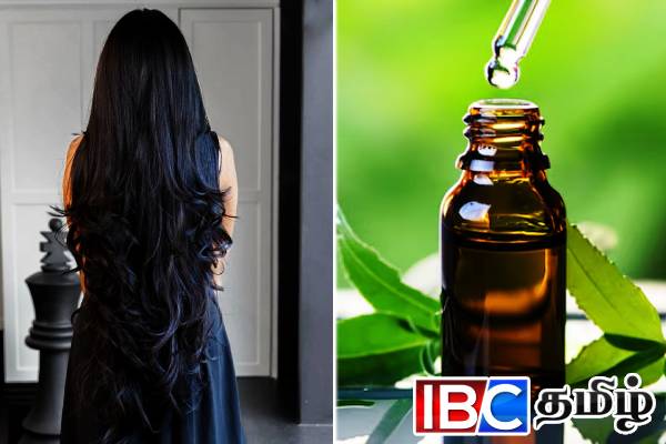 முடி கொட்டுவதை நிரந்தரமாக நிறுத்தி நீளமான முடி வளர்ச்சி பெற ஒரே வழி! | Best Hair Mask For Healthy Hair Growth Thickness