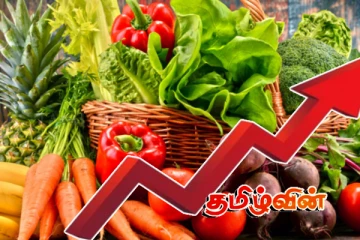 வேகமாக உயரும் மரக்கறி விலைகள்