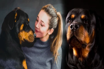 வீட்டிற்கு செல்லப்பிராணியாக நாய் வளர்த்தால் எந்த இனத்தை தெரிவு செய்ய வேண்டும்?