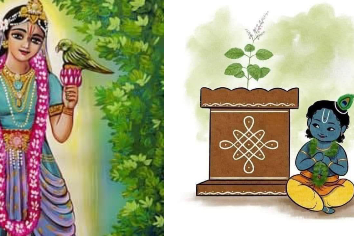 வீடுகளில் துளசியை பறிக்கும் பொழுது இந்த மந்திரம் சொல்ல தவறாதீர்கள் | Mantras To Chant On While Plucking Tulasi