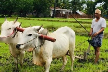 போராட்டங்கள் பற்றி எமக்கு தெரியாது;  பங்காளி கட்சிகள் கைவிரிப்பு