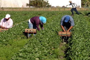 வீட்டுக்குப் பணம் அனுப்புவதற்காக கனடாவில் பணியாளர்கள் செய்யும் தியாகங்கள்... நெகிழவைக்கும் ஒரு செய்தி