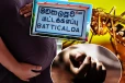 மட்டக்களப்பில் பரிதாபமாக பலியான கர்ப்பிணித் தாய்!