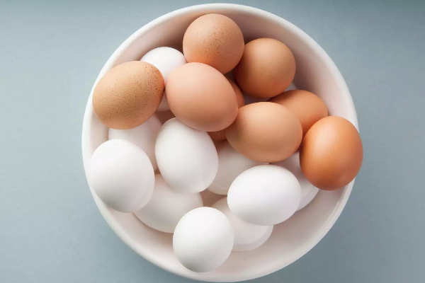 பொருளாதார நெருக்கடியில் மாட்டிக்கொண்ட கோழி முட்டை! | Chicken Eggs Stuck In Economic Crisis