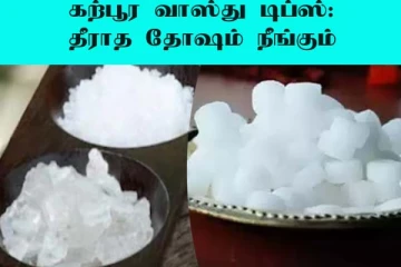 கற்பூரம் வாஸ்து டிப்ஸ்! கற்பூரத்தை இப்படி வைத்தால் வீட்டில் செல்வம் செழிக்கும்