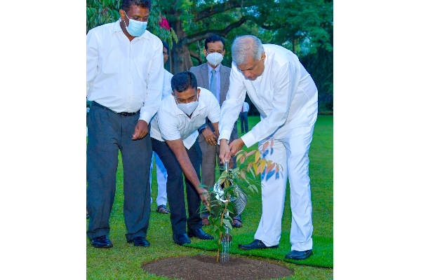அனைத்து கடவுளின் ஆசிர்வாதத்துடன் நாட்டின் நெருக்கடிக்கு தீர்வு! | Solution Country S Crisis All God S Blessings