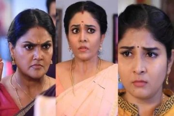 சுகன்யா பற்றிய உண்மை, பளார் விட்டு கோமதி செய்த விஷயம்... பாண்டியன் ஸ்டோர்ஸ் பரபரப்பு எபிசோட்