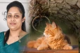 கிணற்றுக்குள் விழுந்த பூனையை காப்பாற்ற முயன்ற யுவதிக்கு நேர்ந்த துயரம்