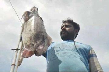 நீண்ட நாட்களின் பின் மகிழ்ச்சியில் மீனவர்கள்!