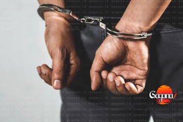 ජාතික උරුමයට පහරක් - පෞරාණික බුද්ධ ප්‍රතිමාව පැහැරගත් 14ක් අත්අඩංගුවට