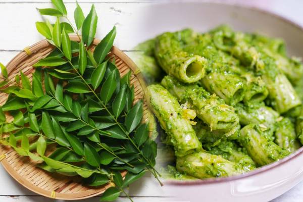 குழந்தைகள் விரும்பி உண்ணும் கறிவேப்பிலை பாஸ்தா.., எப்படி செய்வது? | Curry Leaves Pasta Recipe In Tamil