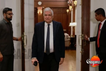 දේශපාලනය උණුසුම් - රනිල්ගෙන් දේශපාලන රැස්වීම් 1,000ක්?