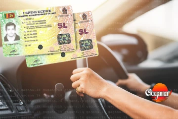 ආයේ ලයිසන් එක අලුත් කරගන්න මෙතෙන්ට යන්න එපා - රජයෙන් අලුත් තැනක් විනාඩි 10න් වැඩේ හරි