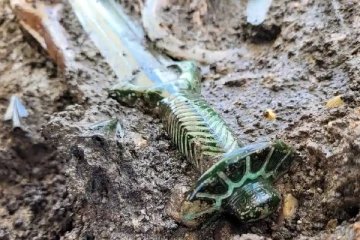 ஜேர்மனியில் 3,000 ஆண்டுகள் பழமையான போர் வாள்... சேதமடையாமல் பத்திரமாக மீட்பு