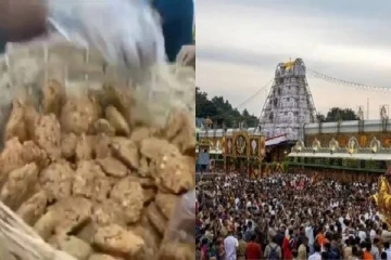 இனி திருப்பதியில் மசால் வடை பிரசாதம்; அப்போ லட்டு? தேவஸ்தானம் அறிவிப்பு!