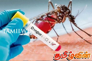 வவுனியாவில் 113 பேருக்கு டெங்கு நோய் தாக்கம்