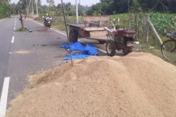 யாழில் வீதியில் நெல்காய விட்டவருக்கு எமனான வாகனம்