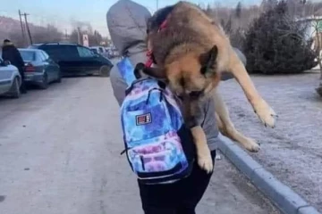 மரணத்தின் போதும் கைவிடாத நட்பு: நாயை தோளில் சுமந்து 10 மைல் தூரம் சென்ற பெண்!