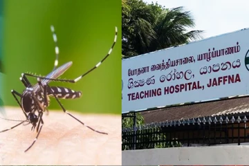 அதிகரிக்கும் டெங்கு தொற்று: யாழ். போதனா வைத்தியசாலை மேற்கொண்டுள்ள நடவடிக்கை