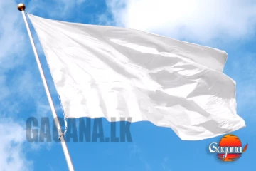 ජනප්‍රිය රංගන ශිල්පියෙක් දියේ ගිලී මිය යයි [PHOTOS]