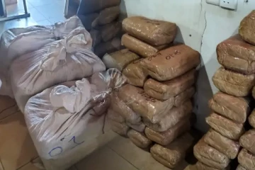 யாழ். காரைநகரில் பெருமளவிலான கஞ்சா மீட்பு (Photos)