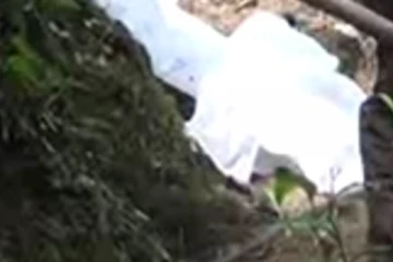 තියුණු ආයුධයකින් පහර දී සහෝදරයා ඝාතනය කල සංවේදී පුවත