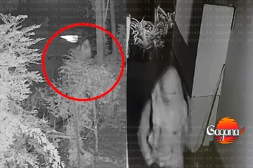 මහ රෑට ගෙවල්වලට පනින නින්ජා නිසා මුළු ඇඹිලිපිටියම බියෙන්