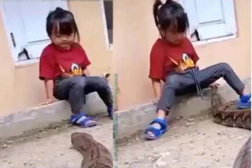 ராட்சத பாம்பிற்கு வழிவிடாமல் சிறுமி செய்த சேட்டை: பொறுமையாக இருந்த பாம்பு என்ன செய்தது தெரியுமா?