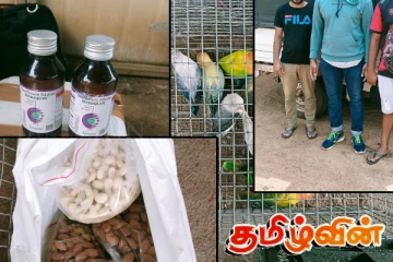 சட்டவிரோதமாக நாட்டிற்கு கொண்டு வரப்பட்ட விலங்குகளுடன் மூவர் கைது!